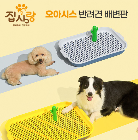 집사랑 오아시스 반려견 배변판 대형
