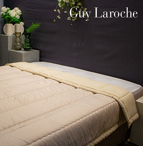 [Guy Laroche] 세미마이크로 캔버스 이불 단품 Q