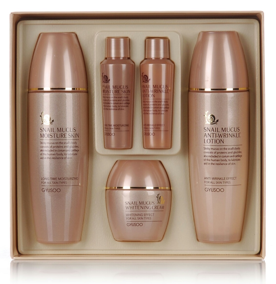 규수 달팽이 3종 세트