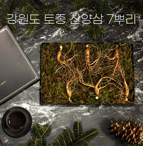 [선물포장] [더 기다림] 일주일 건강지키미 강원도 토종 산양삼  [5년~6년근] 7뿌리