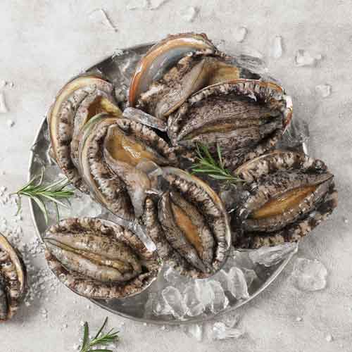 명품 완도활전복(대) 1kg (1kg, 13-14미)