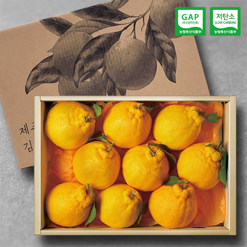 건해몽 제주김농부 실속 한라봉 세트 3kg / 한라봉 7~10수