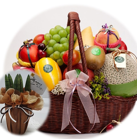 미니스투키 과일바구니