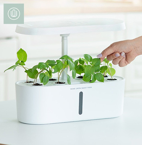 잇츠웰 홈그린 식물재배기. 나만의 작은 텃밭