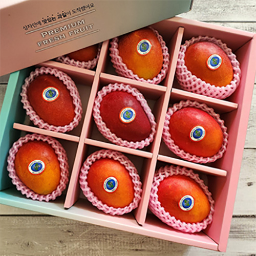 [더 망고] 프리미엄 애플망고 9과 선물세트