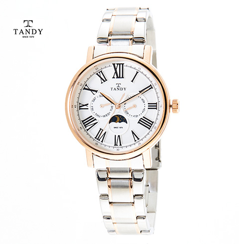탠디 썬앤문 남성 메탈시계 T-1511M WR