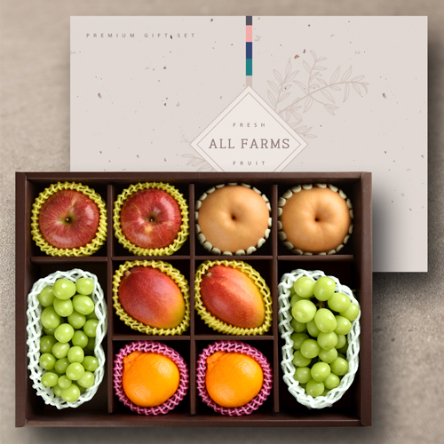 프리미엄 과일혼합VIP 4호 4.5kg/사과2과+배2과+애플망고2과+한라봉2과+샤인머스켓2수