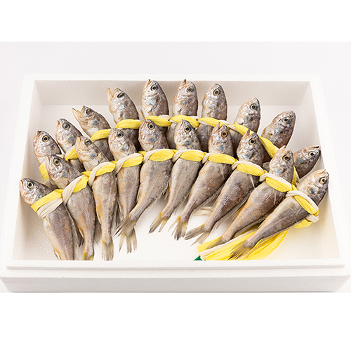 영광수산 굴비 가정용 40미 (1호) 2,200g, 17cm 내외