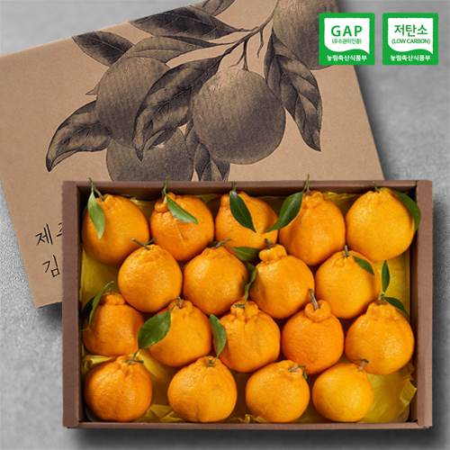 건해몽 제주김농부 프리미엄 한라봉세트 5kg 13~18수