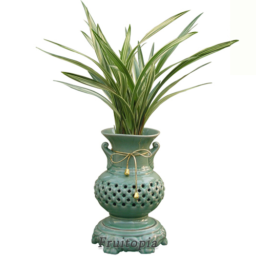 애국청자투각(동양란)