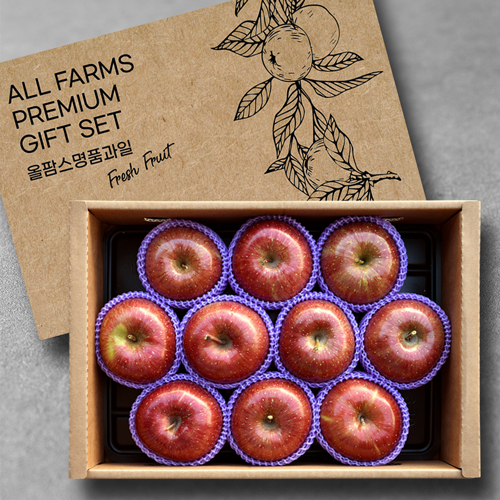 건해몽 올팜스 봉화 사과세트 2.5kg / 사과 9~10과