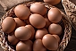 유정초란 군계란(2번)(30구2판) 60알(구정명절특가) 건강한 닭이 낳은 평사유정란 소비자평가우수대상
