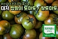 프리미엄 대저 짭짤이 토마토(3S~S)
