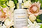 [이브코드] 비타민C 워터 화이트닝 (앰플 30ml + 샘플 1.5ml 10매)