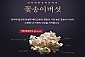 베타글루칸 꽃송이버섯 1kg 최상품 