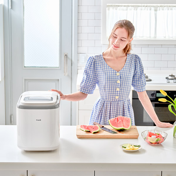 프롬비 가정용제빙기 FD216