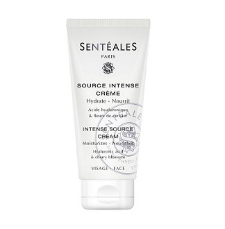 [쌍띠엘] 엥땅스 소스 크림 200ml